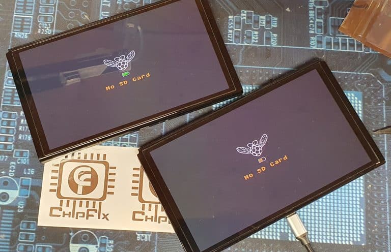 Nintendo PicFly